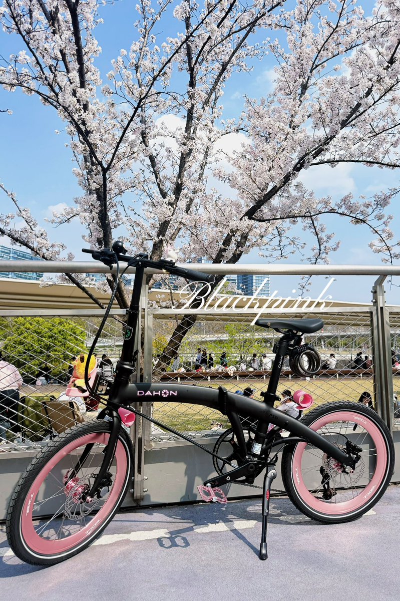 是大饼饼饼饼饼呀🧡 tweet media