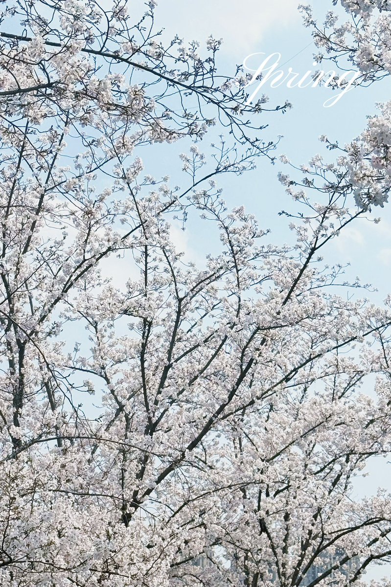 是大饼饼饼饼饼呀🧡 tweet media