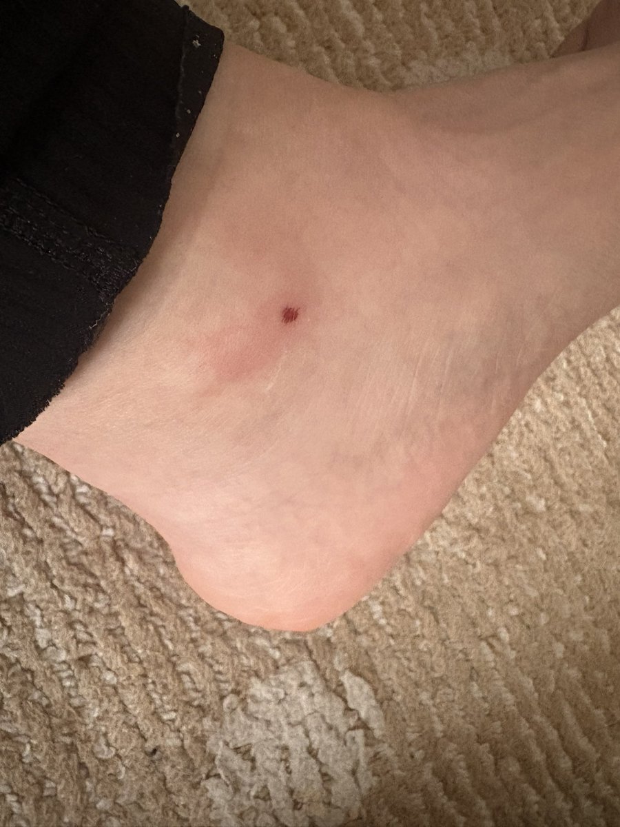 よーし tweet media