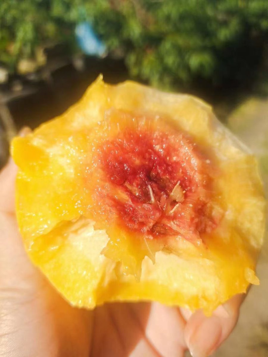 letwin chizenga tweet media