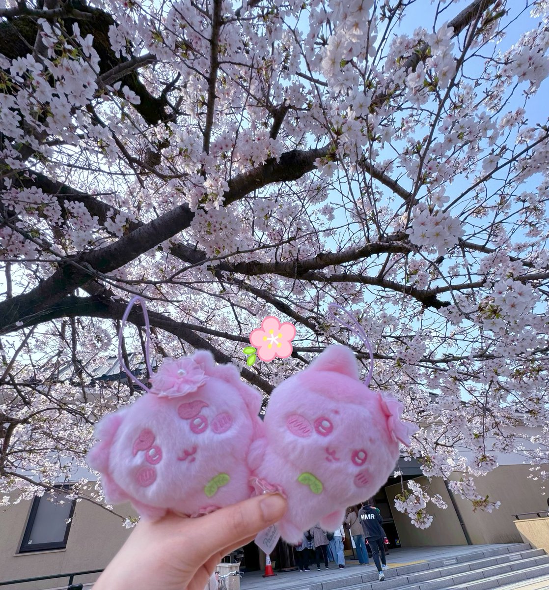 にむにむ💙🐱 tweet media