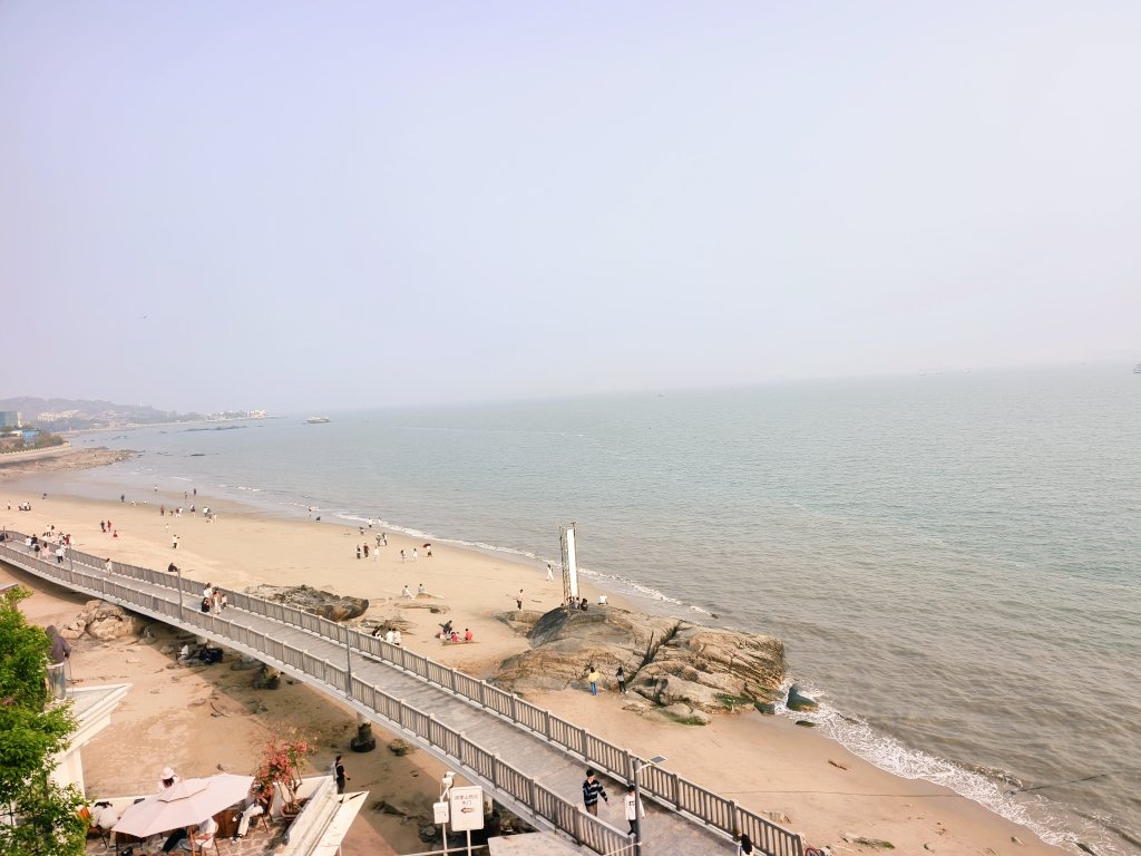 Biscuits-Cat tweet media