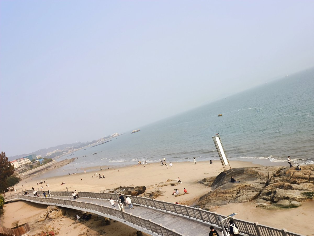 Biscuits-Cat tweet media