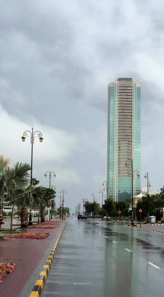 الرحال ابوسلمان tweet media