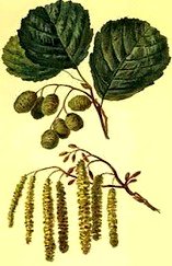 Jean-Marc Bèche tweet media