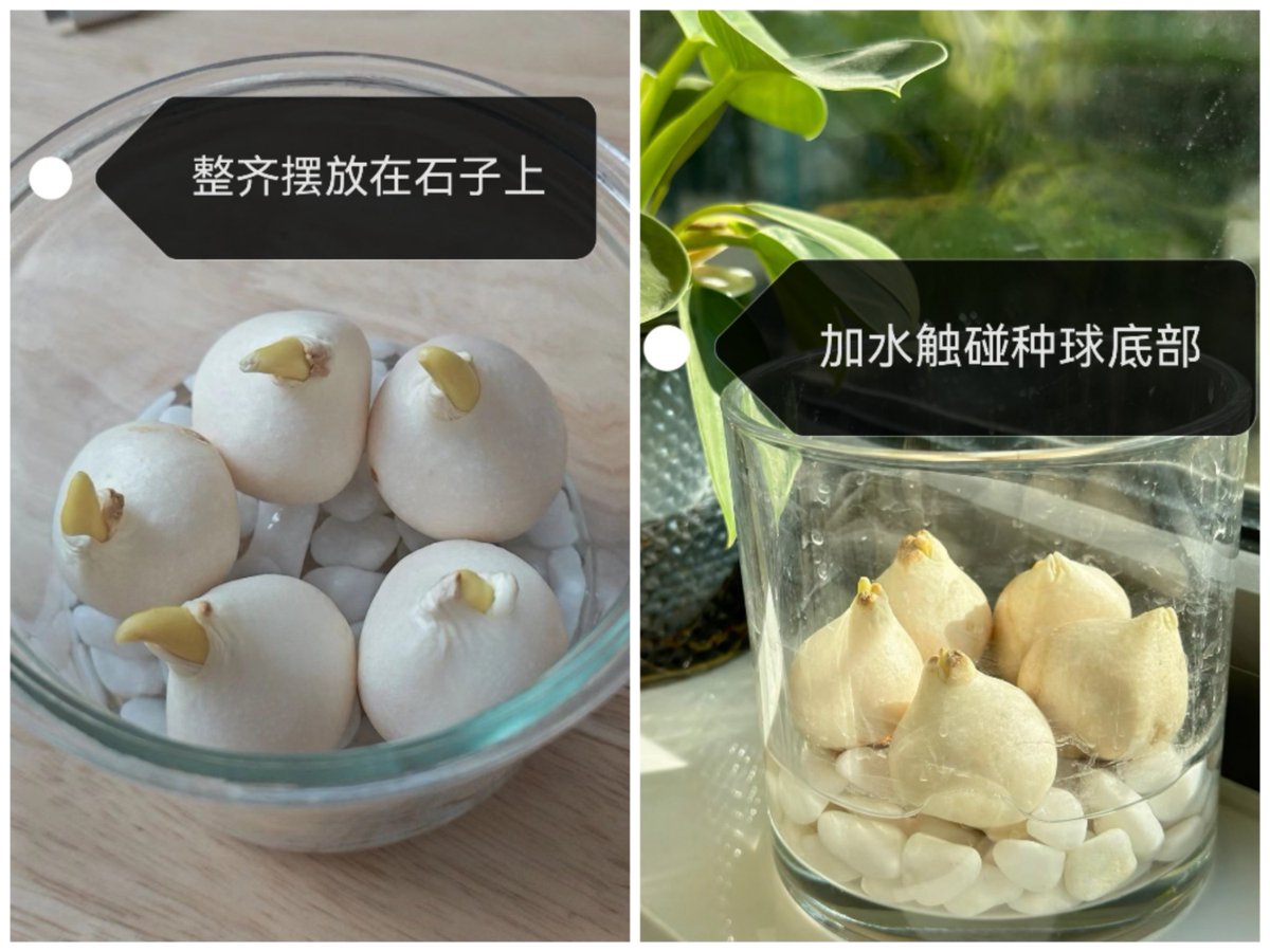 Ryan Webb tweet media