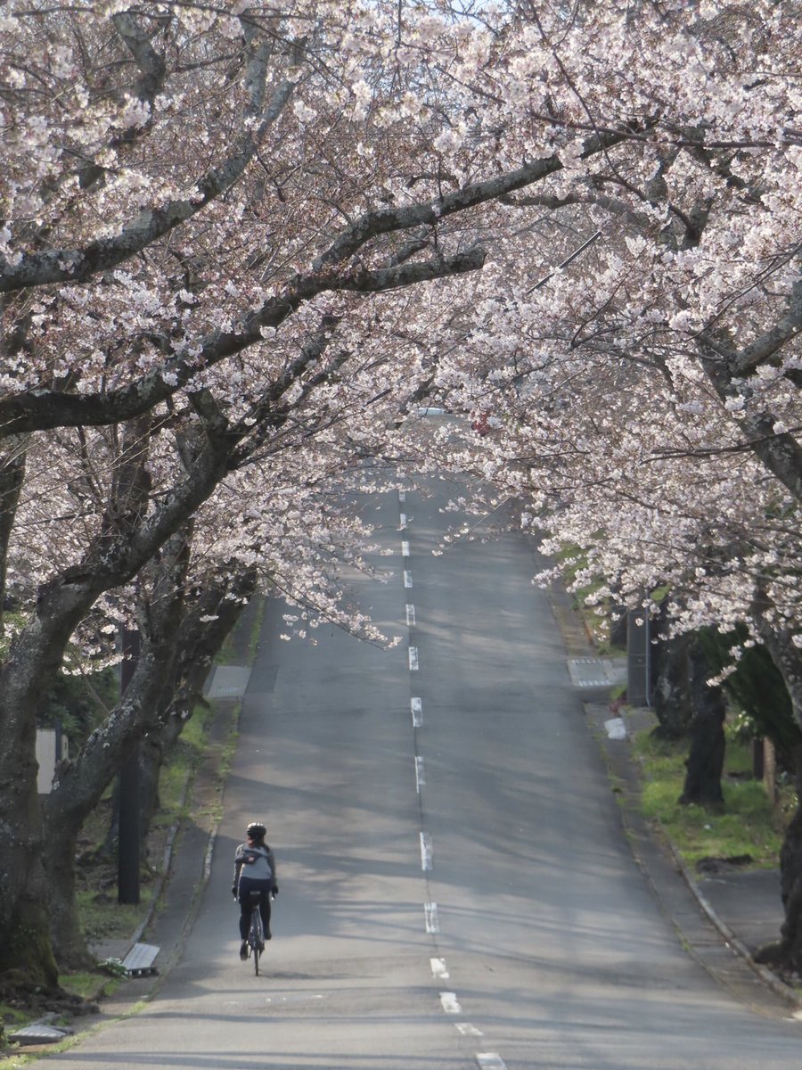 もづる tweet media