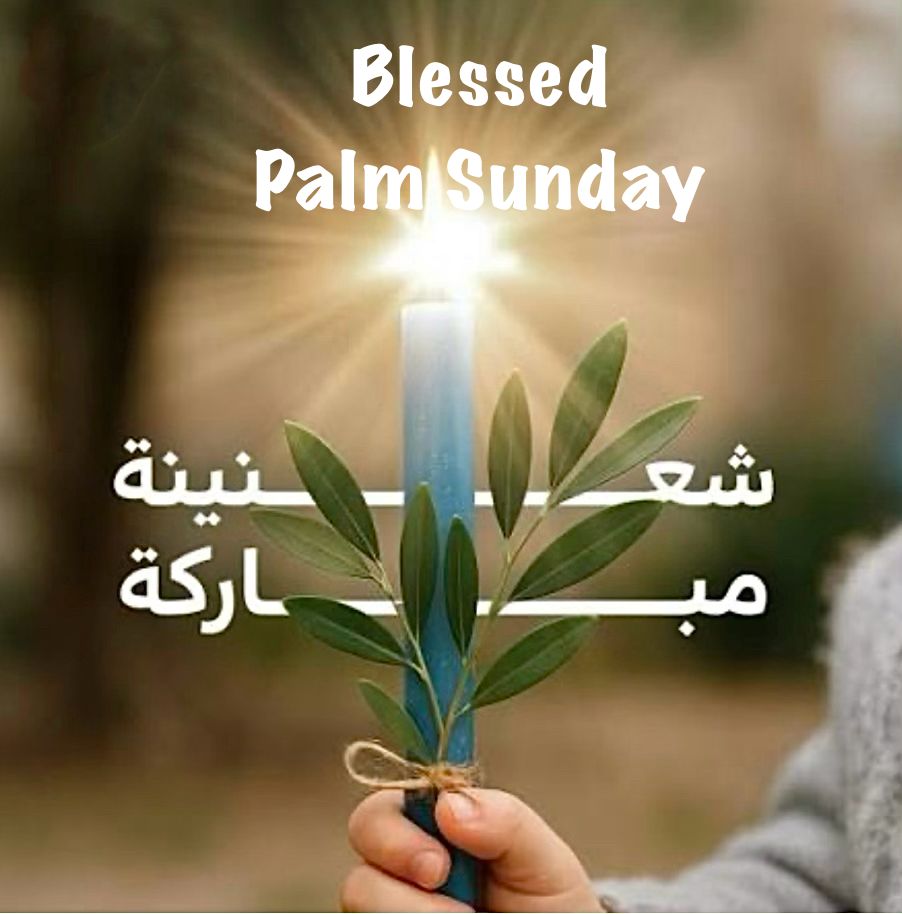 Rita Mokbel ✊🇱🇧🇦🇪 tweet media