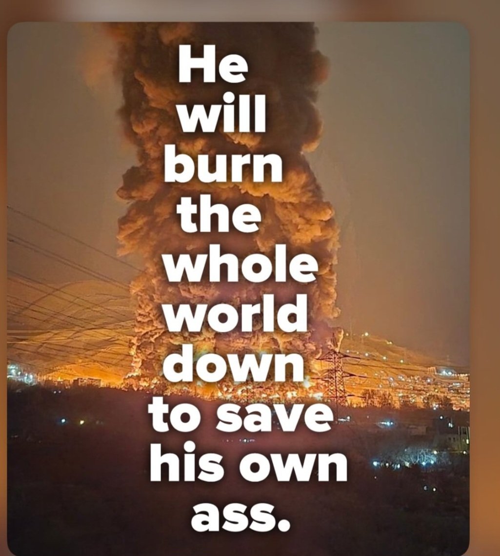 AnimalLover🐧💥 tweet media