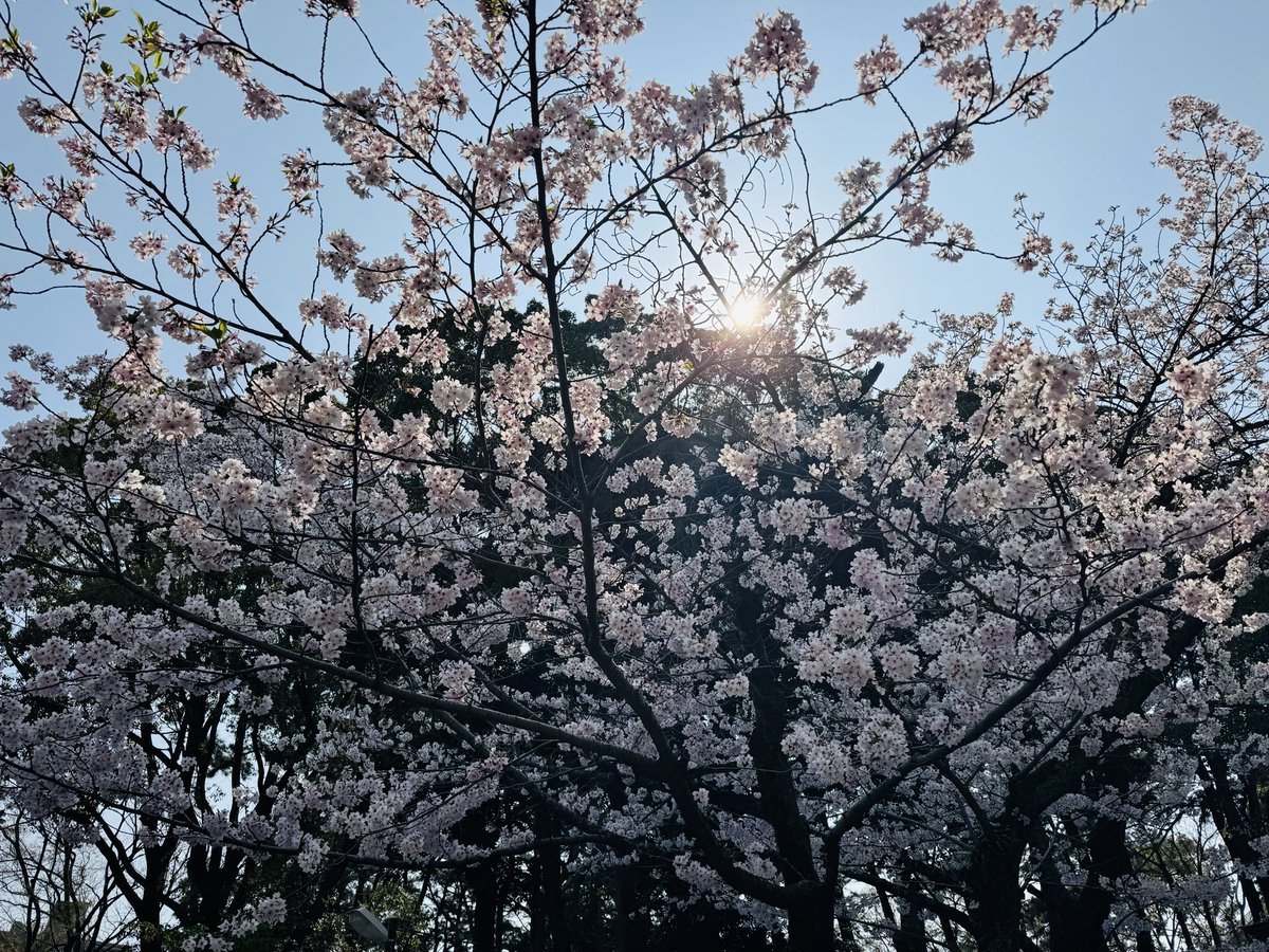 エディ&ルイ tweet media