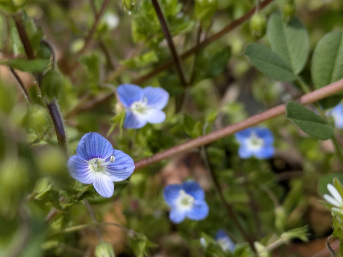 すなっち tweet media