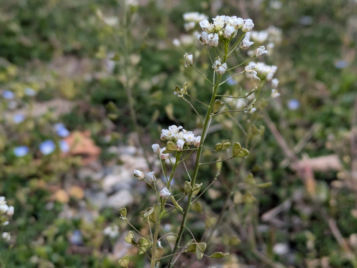 すなっち tweet media