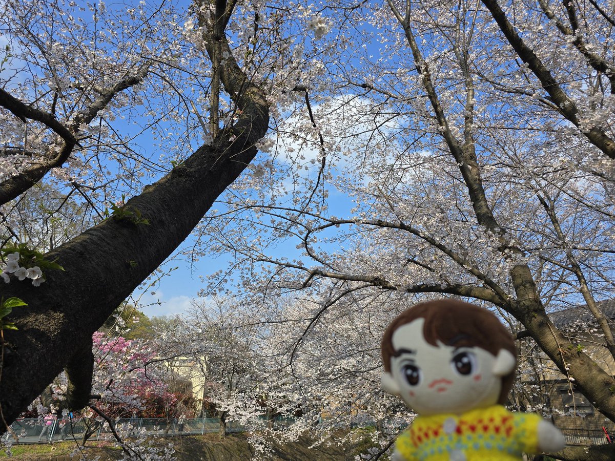 mich🇯🇵Brights🤍🇹🇭 tweet media