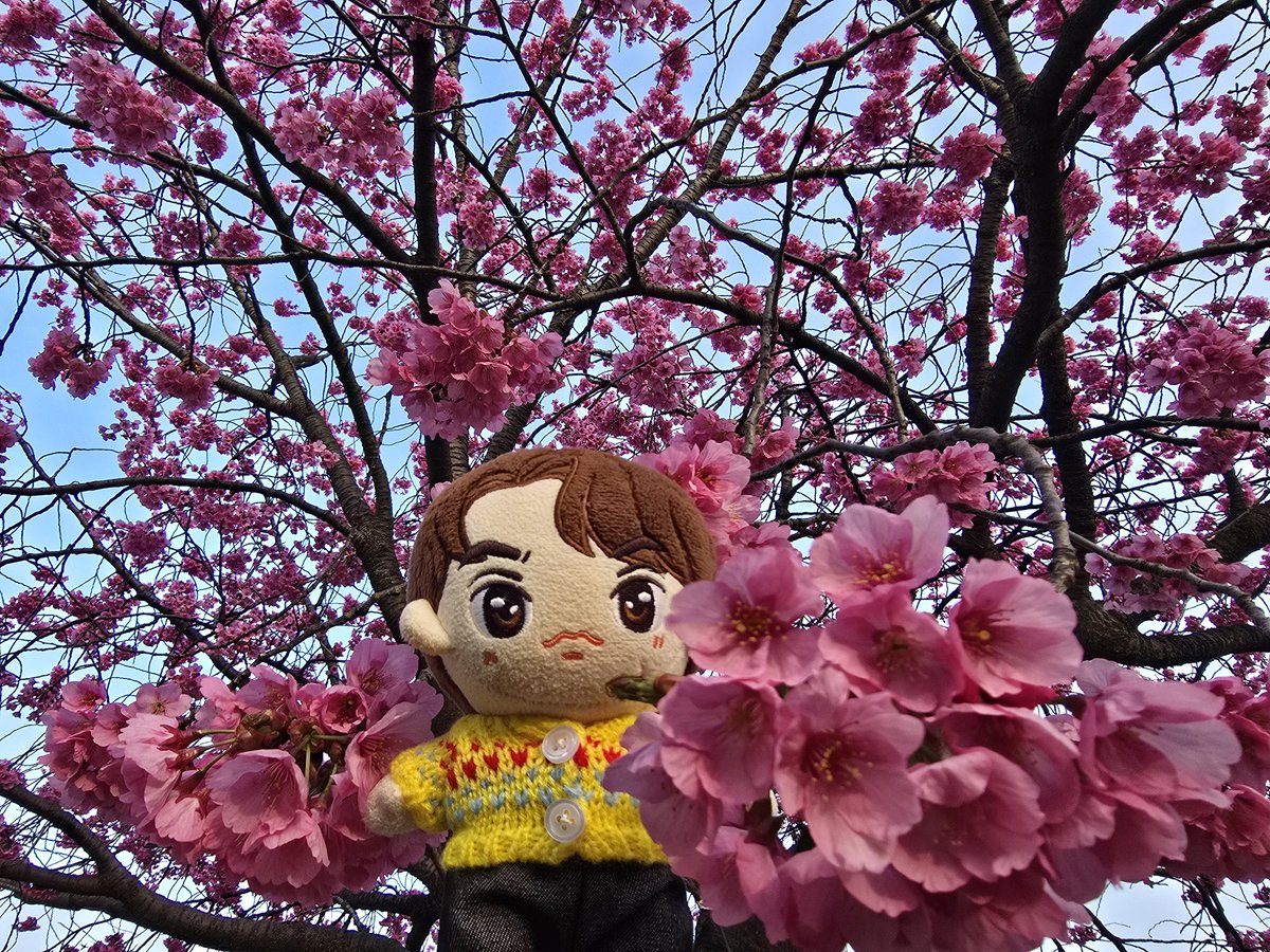 mich🇯🇵Brights🤍🇹🇭 tweet media