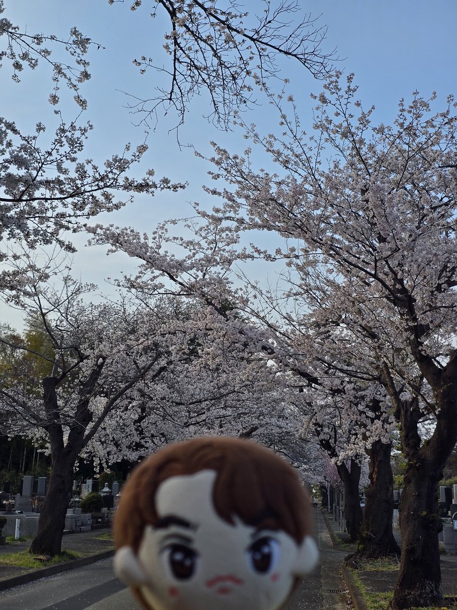 mich🇯🇵Brights🤍🇹🇭 tweet media