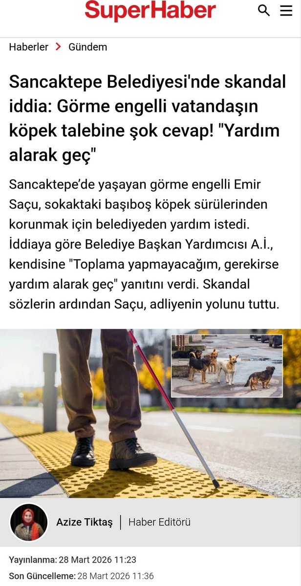 Yağmur Gökçe tweet media