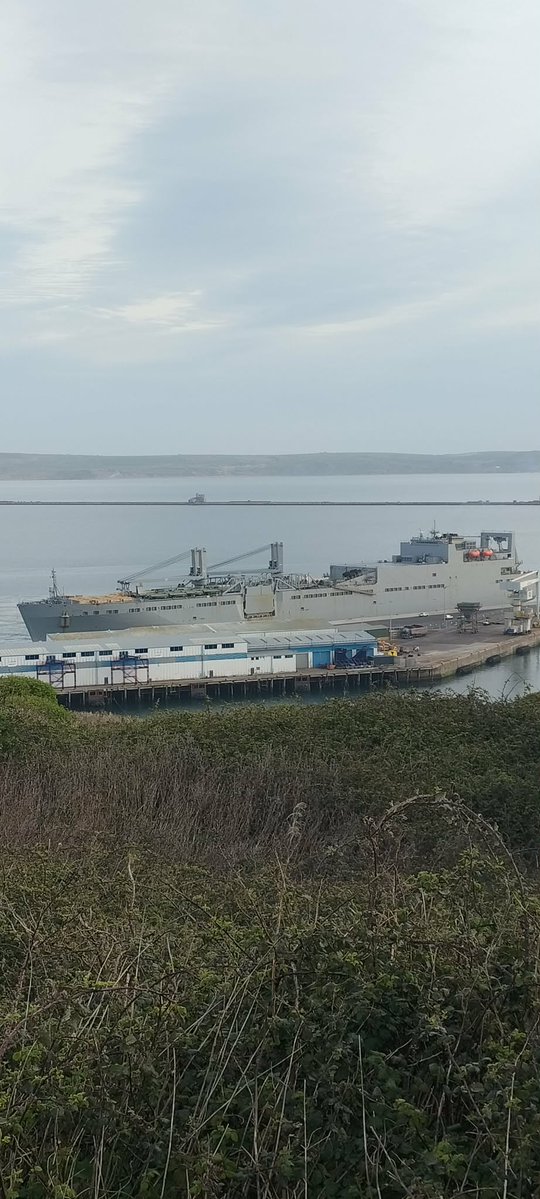 Justyn Ayton tweet media