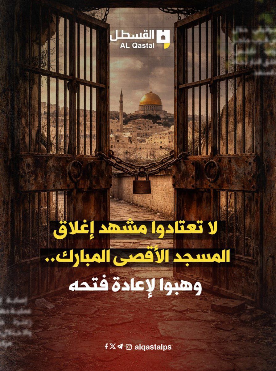 القسطل الإخباري tweet media