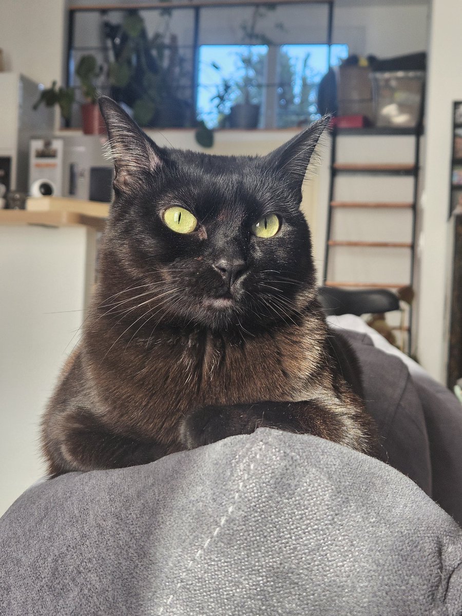 Niki 🍂 tweet media