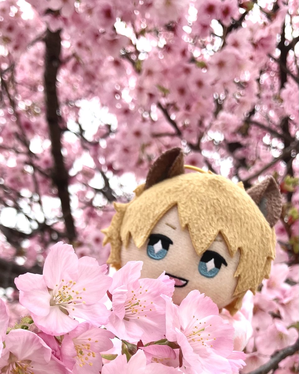 もじゃ氏 tweet media