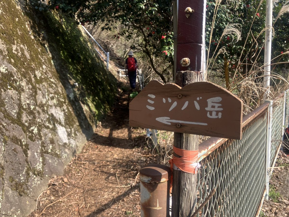 滝ちゃん tweet media