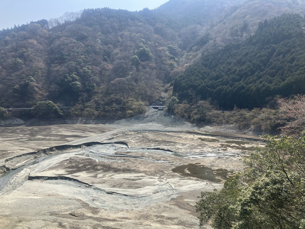 滝ちゃん tweet media