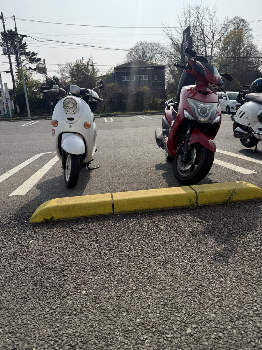 MASSA (黒黒鮃団) tweet media