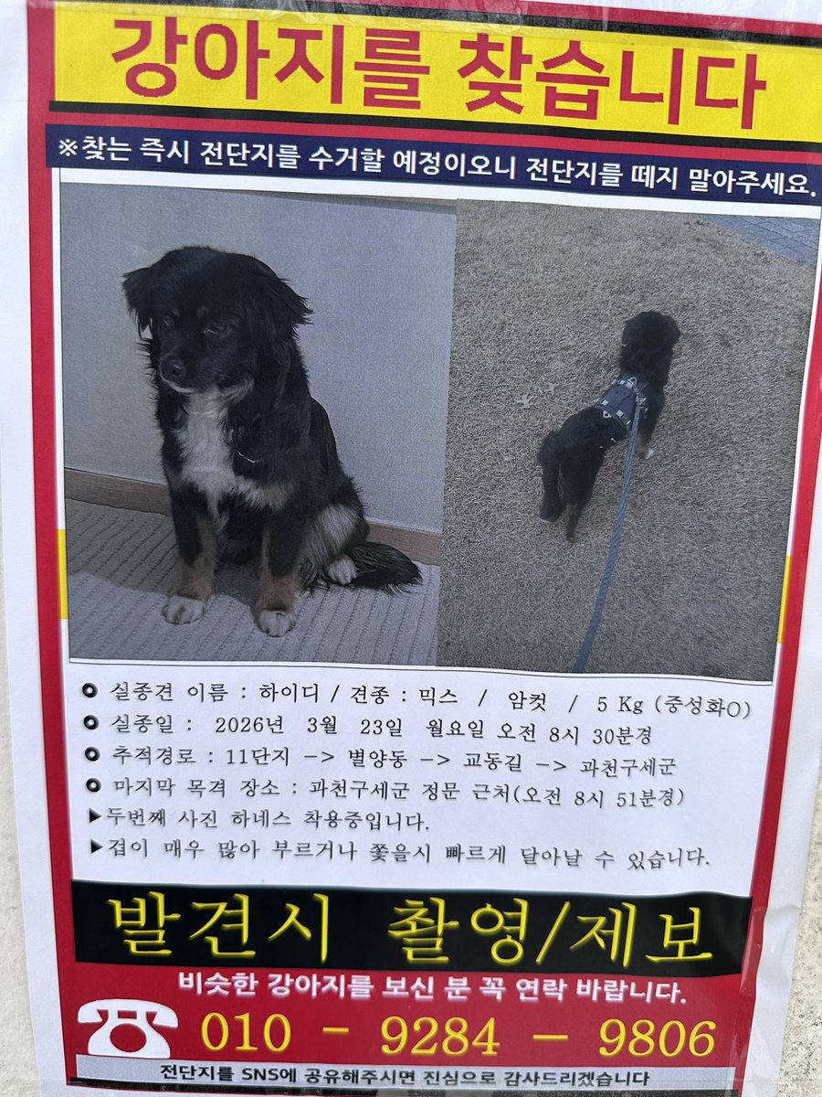 봉봉쓰 tweet media