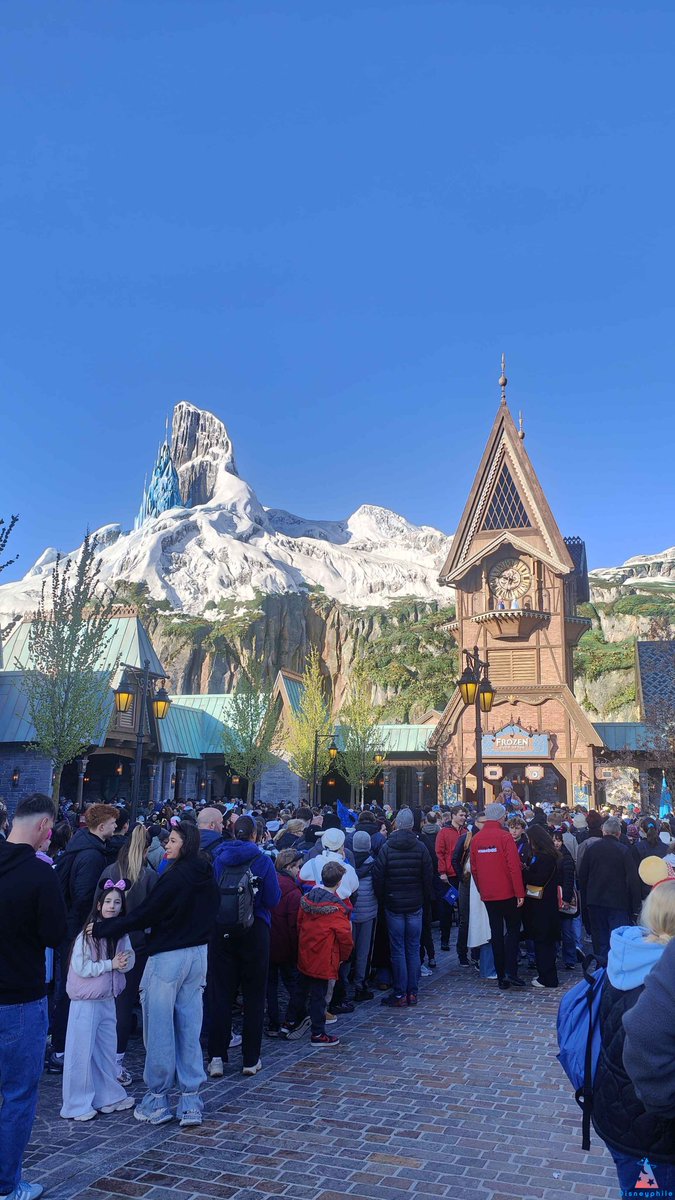 Disneyphile tweet media