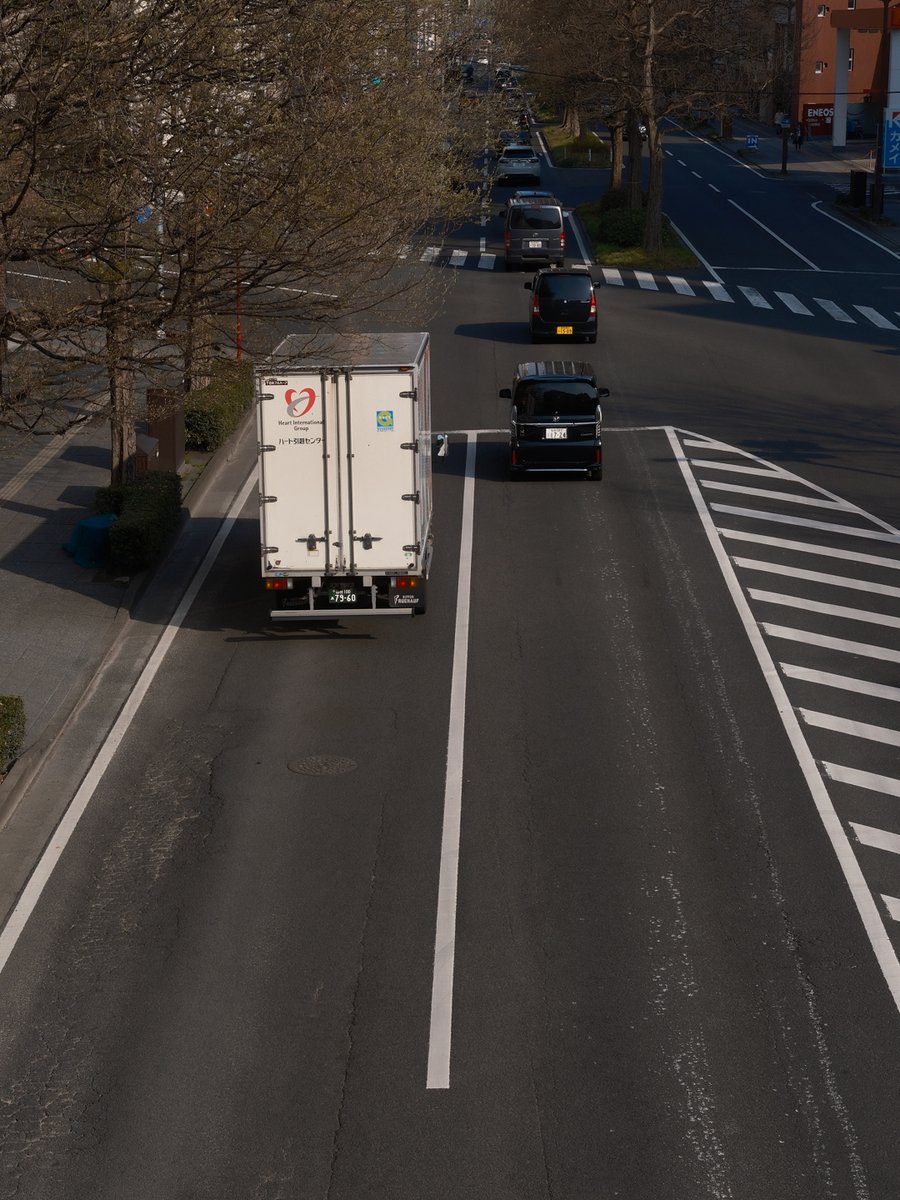 ReijiroSnap tweet media