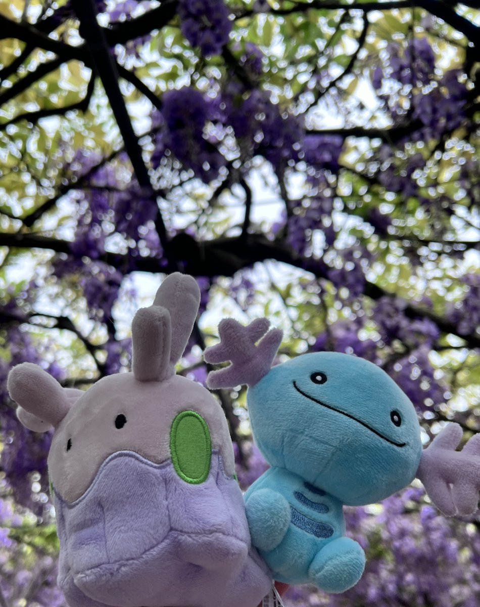 便當好好吃 tweet media