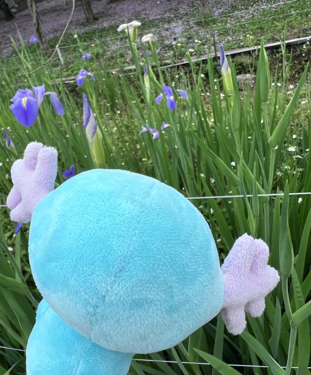 便當好好吃 tweet media