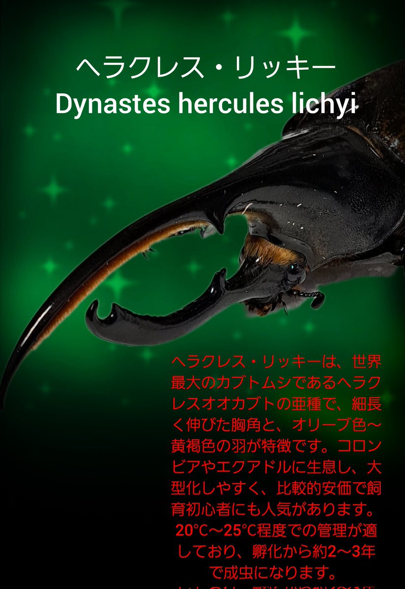 くりさん tweet media