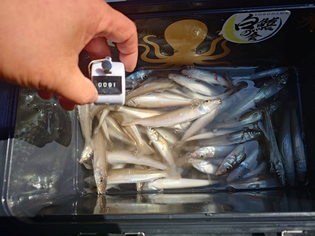 稲川 展裕 tweet media