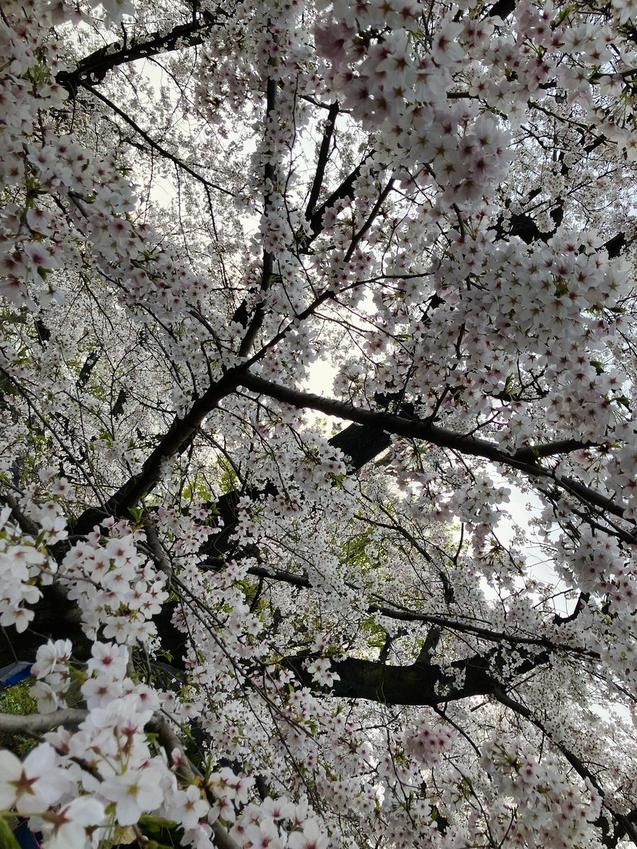 みずきっく tweet media