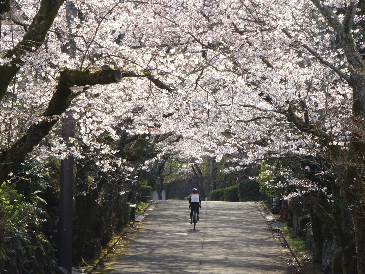 もづる tweet media