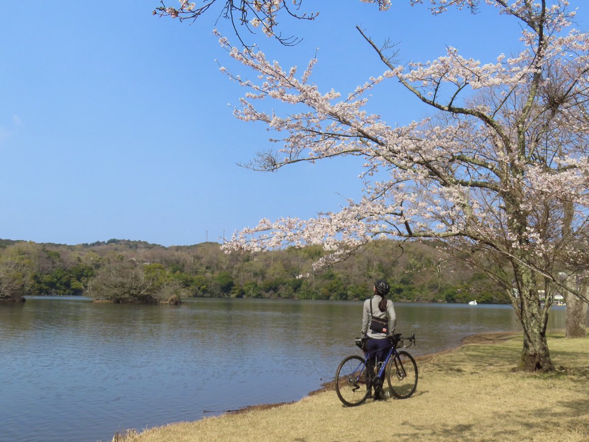 もづる tweet media