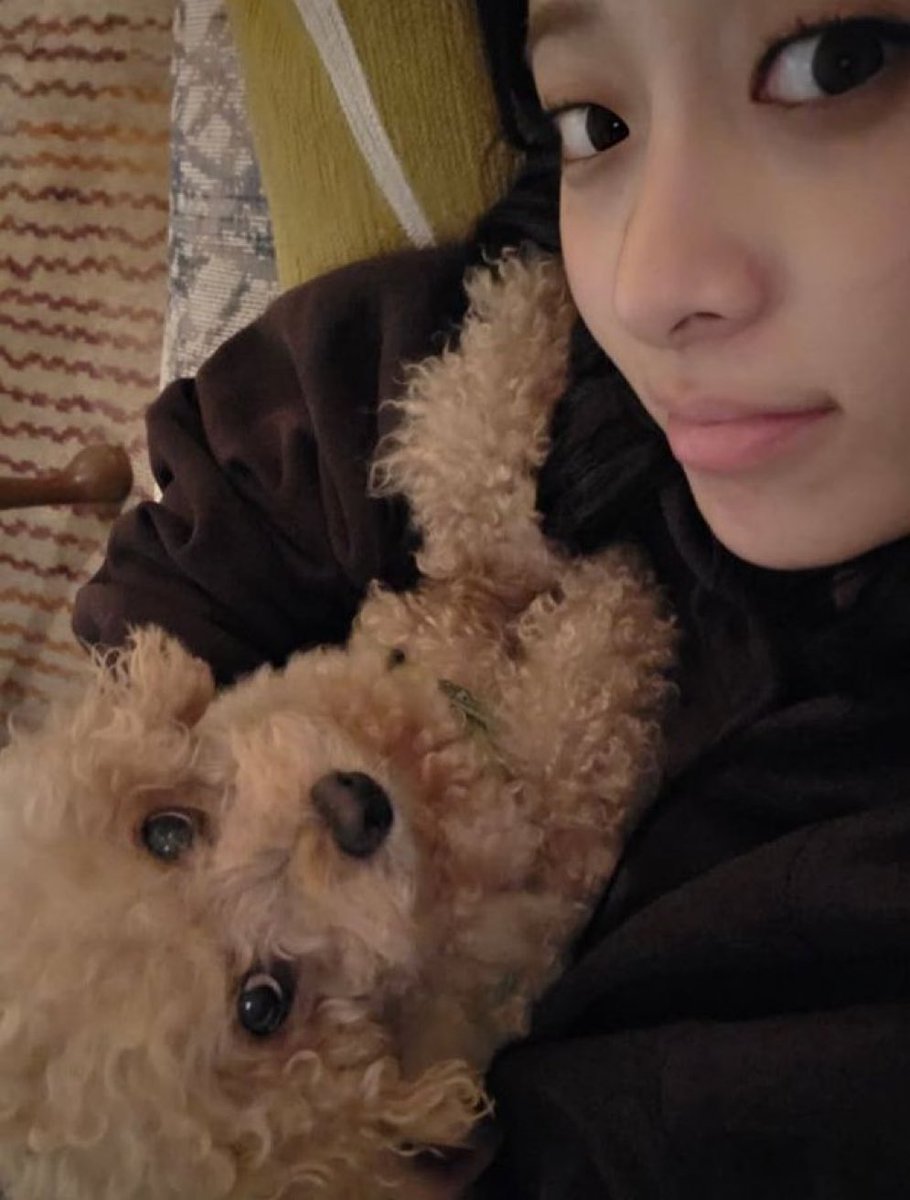 ʚ Ｌｕｎａ ɞ tweet media