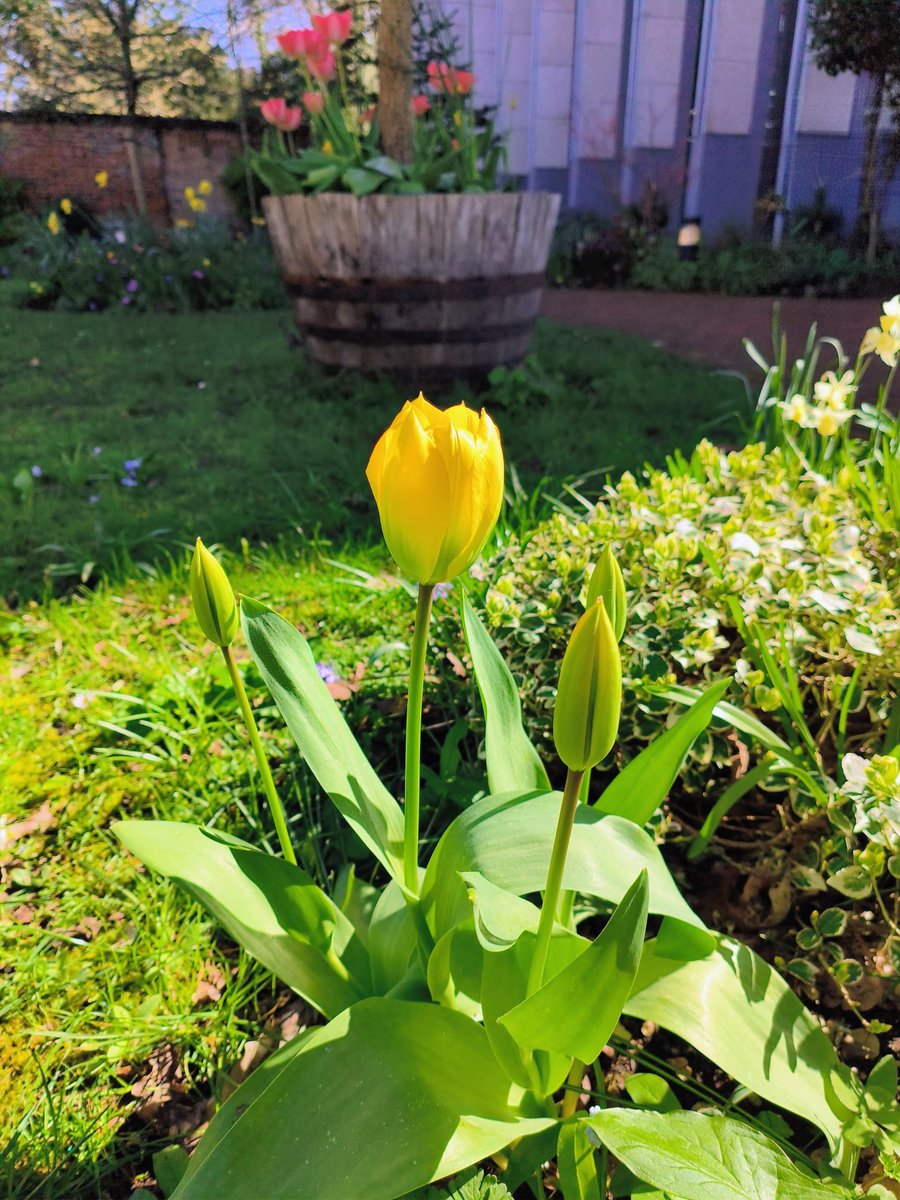 Lady Grace tweet media