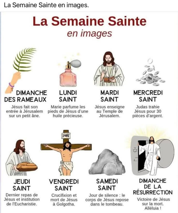 Comité Trump France tweet media