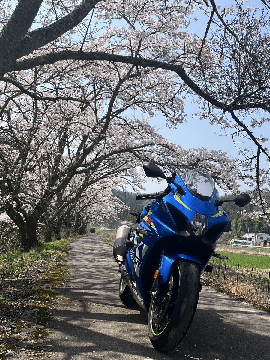 骨折ライダー@チタン入ってます🩹 tweet media