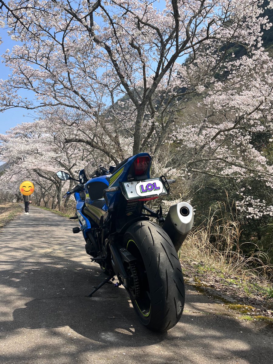 骨折ライダー@チタン入ってます🩹 tweet media