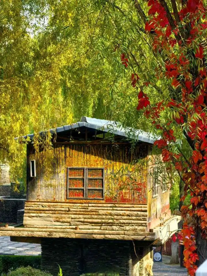 umiterden tweet media