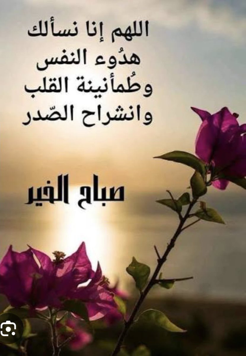 Salim harb tweet media