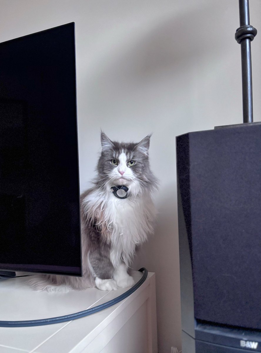 Keykisa2 tweet media