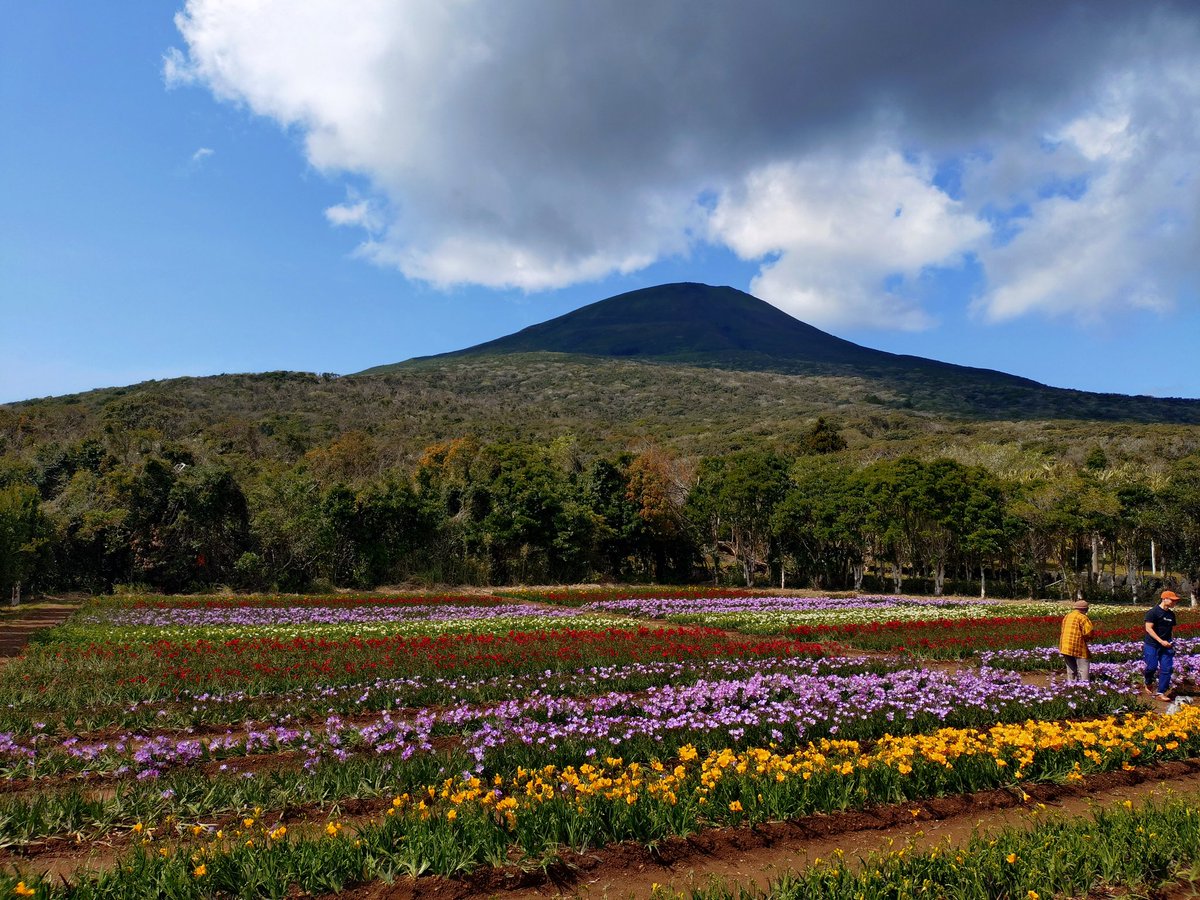 福井ゆうた（福井悠太）　国民民主党　東京都議会議員（大田区選出） tweet media