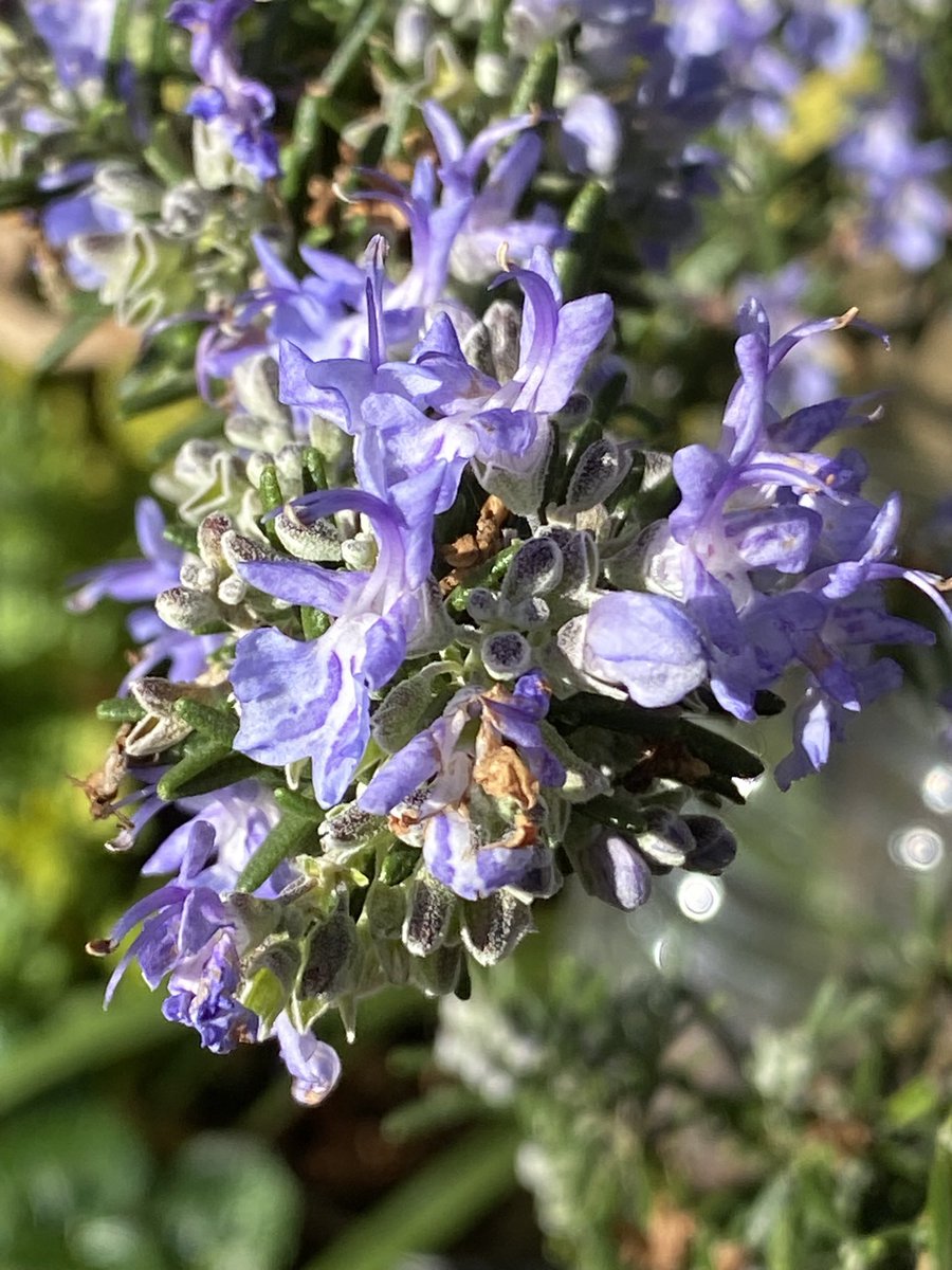 Ken Hunt tweet media