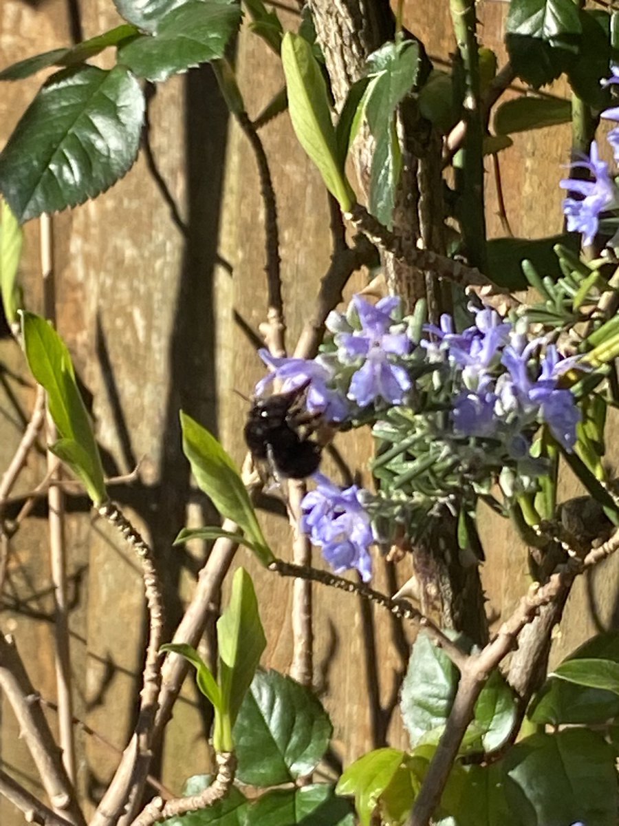 Ken Hunt tweet media