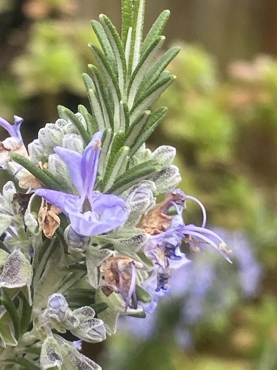 Ken Hunt tweet media