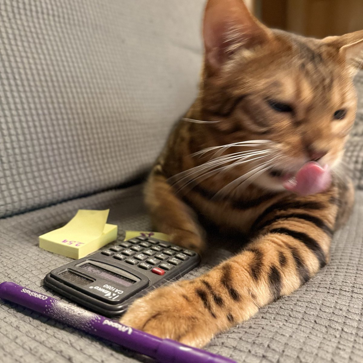 tā otra Ilze. tweet media